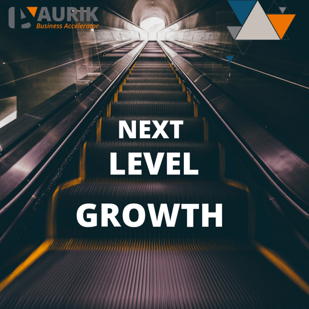 next level growth